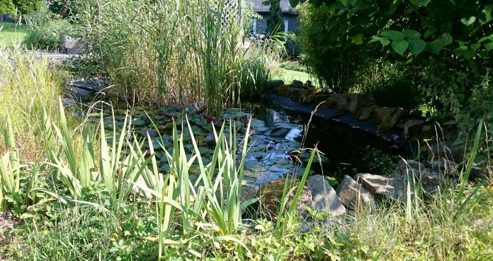 Bekanntschaften dingolfing photo 2
