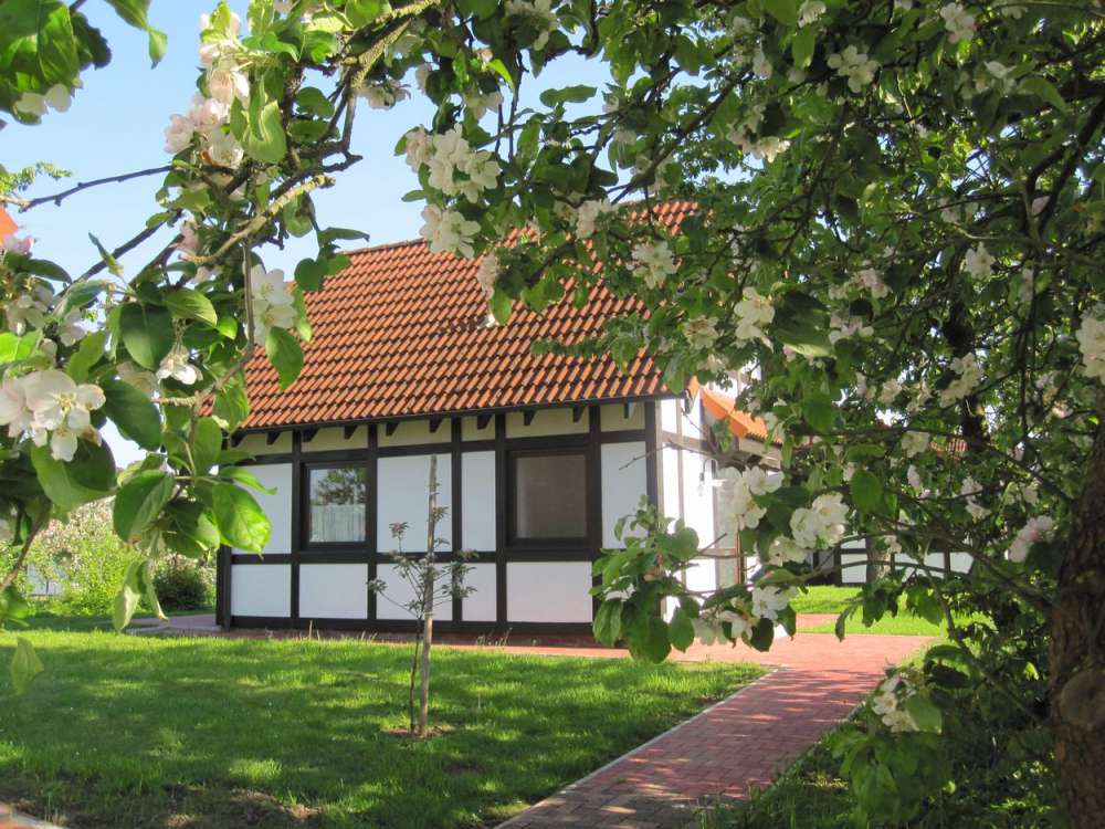 Hausbeispiel Deichgraf 65 Hausbeispiel Deichgraf 65