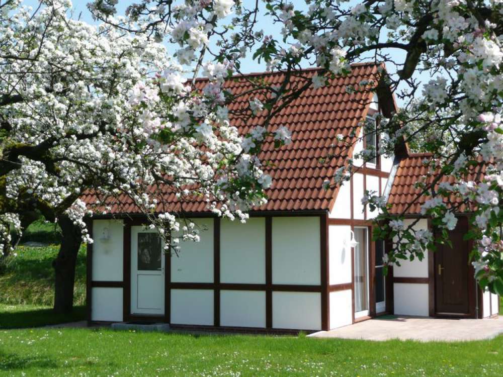 Hausbeispiel Scout 60  Hausbeispiel Scout 60