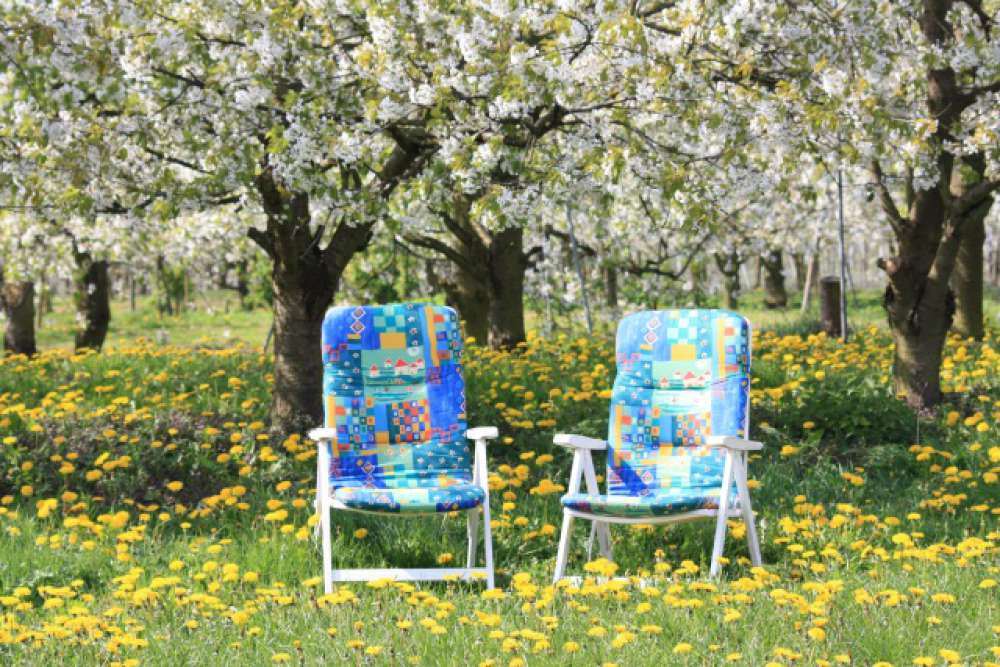 486 ihr platz an der sonne garten 1461845760