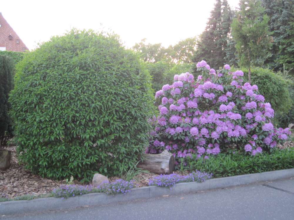 Strassenbereich vorm Ferienhaus Strassenbereich vorm Ferienhaus