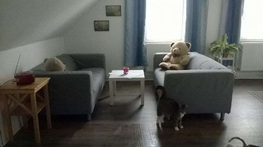 Wohnbereich Wohnbereich