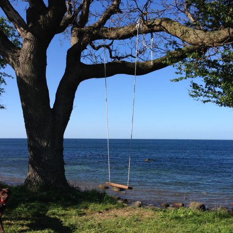 Die Schaukel am Meer Die Schaukel am Meer