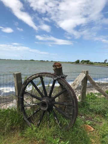 Ein Tag am Meer Ein Tag am Meer