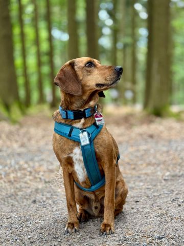 Unser Poldi Unser Poldi