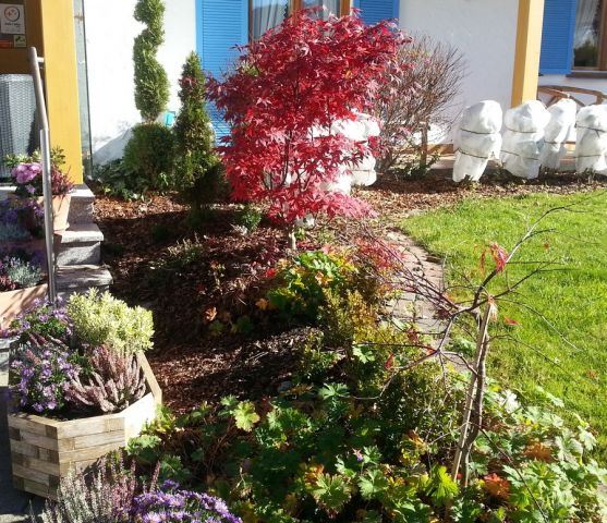 Eingangsbereich Eingangsbereich