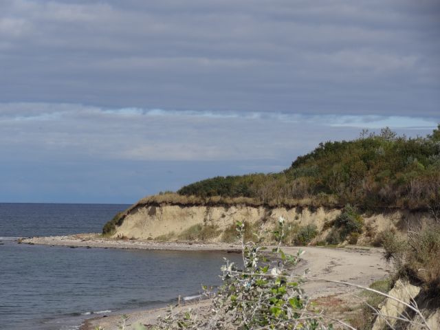 der Strand in der Nähe lädt zum Verweilen und sammeln von Fossilien ein.