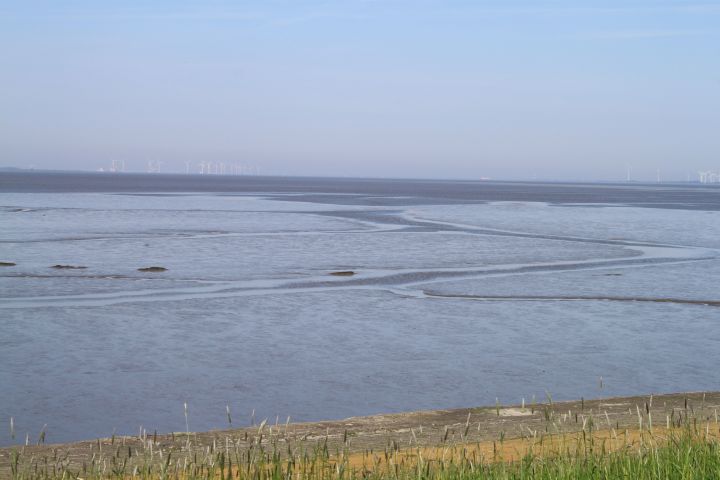 Ferienwohnung in Ditzum - Objekt 12749 - ab 60 Euro