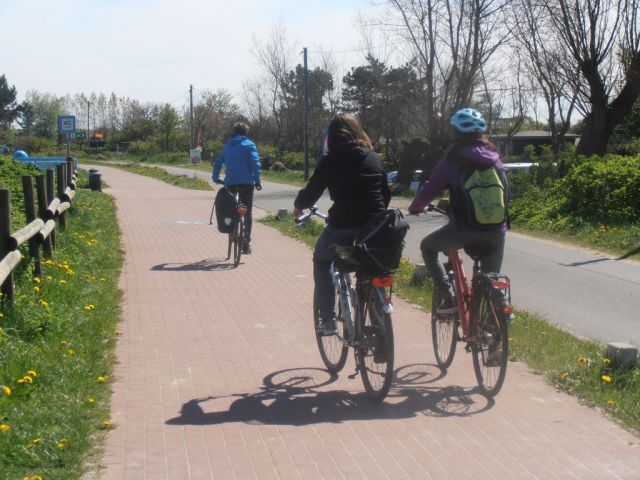 gut ausgebaute Fahrradweg direkt entlang der Ostsee
