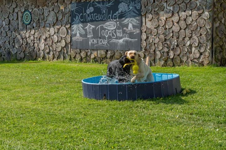 Besonderes Ferienhaus für Hundebesitzer - Ferienhaus S`bunde Heisle