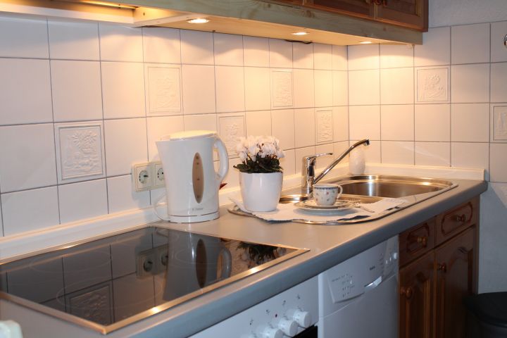 Küchenzeile mit Ceran-Kochfeld, Backofen und Spülmaschine