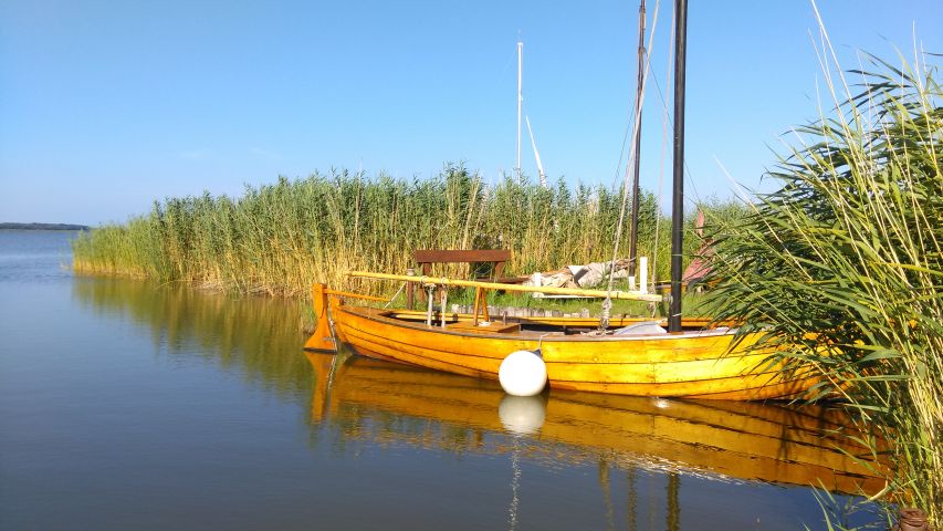 Holzboot am Schilfgürtel