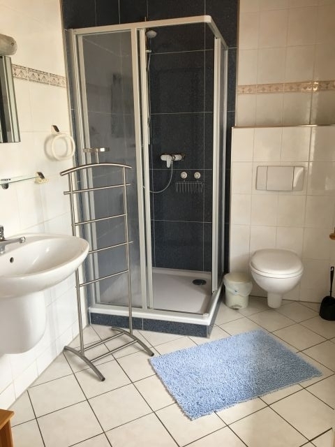 Typ 2 Bad mit Dusche, WC, Fön, Fenster