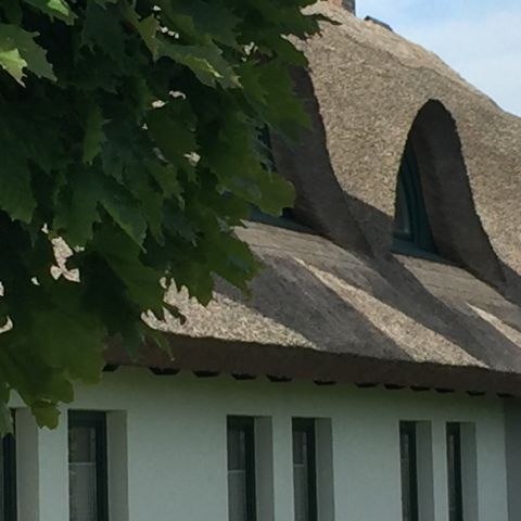Das Schilffdach des Ferienhauses
