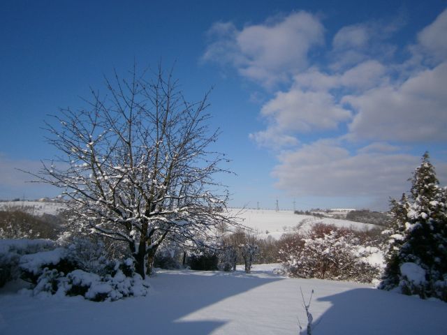 Winter - Blick in den Garten und Zschoner Grund