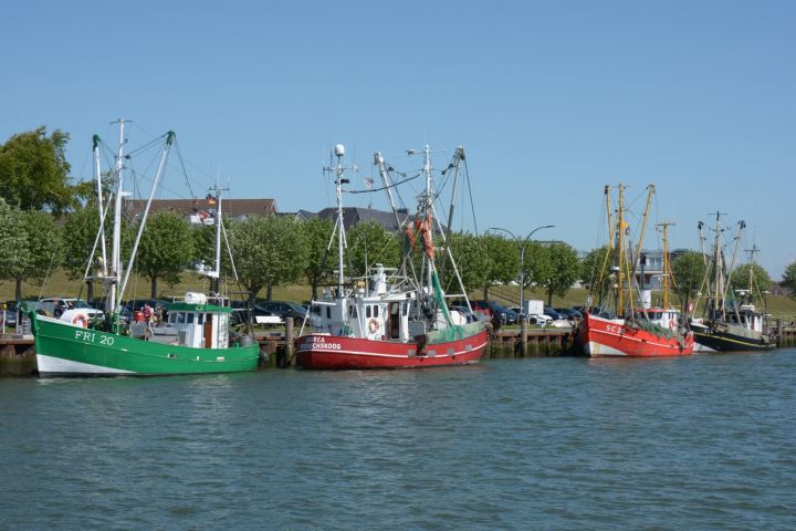 Krabbenkutter im Hafen von Büsum - täglich gibt es frische Krabben zum pulen