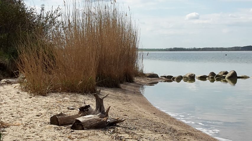 Insel Usedom - Halbinsel Gnitz / Achterwasser