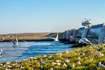 Eidersperrwerk und Möwen