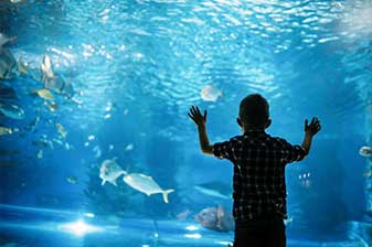 Junge vor einem großen Aquarium