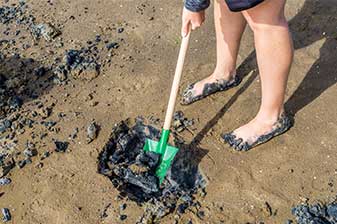 Kinder graben im Watt