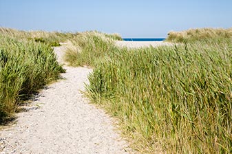 Bojendorfer Strand