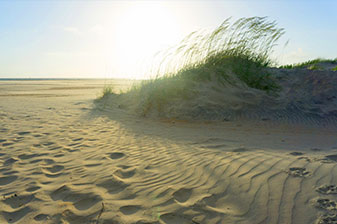 Dünen im Sonnenuntergang