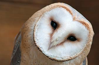Vogelpark Niendorf