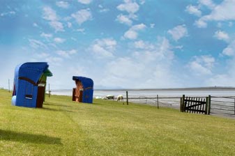 Grünstrand mit Strandkörben auf Pellworm