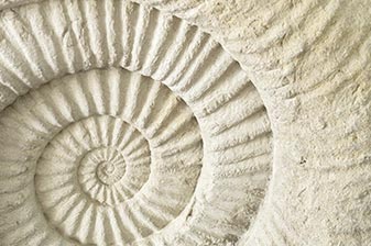 Kreidemuseum Gummanz