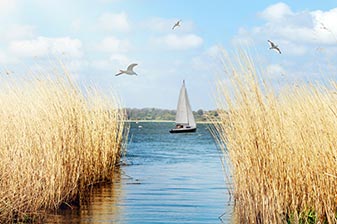 Segelboot auf dem Wasser und fliegende Möwen